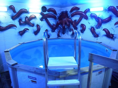 Саун-студия СФИНКС