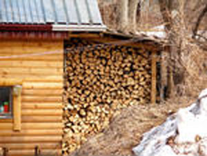 Сила Жизни Тела